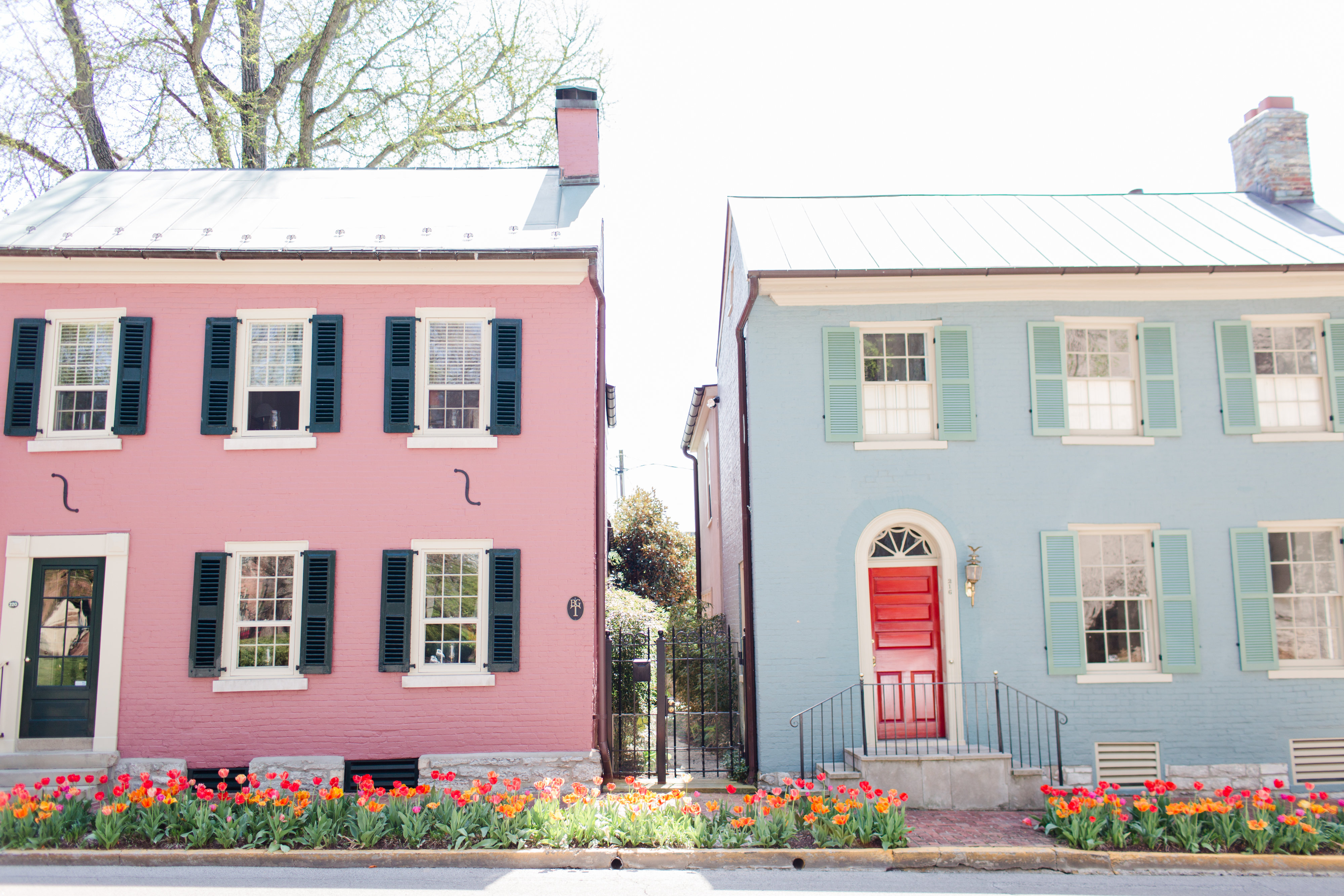 ピンクハウス Pink houses in Lexington