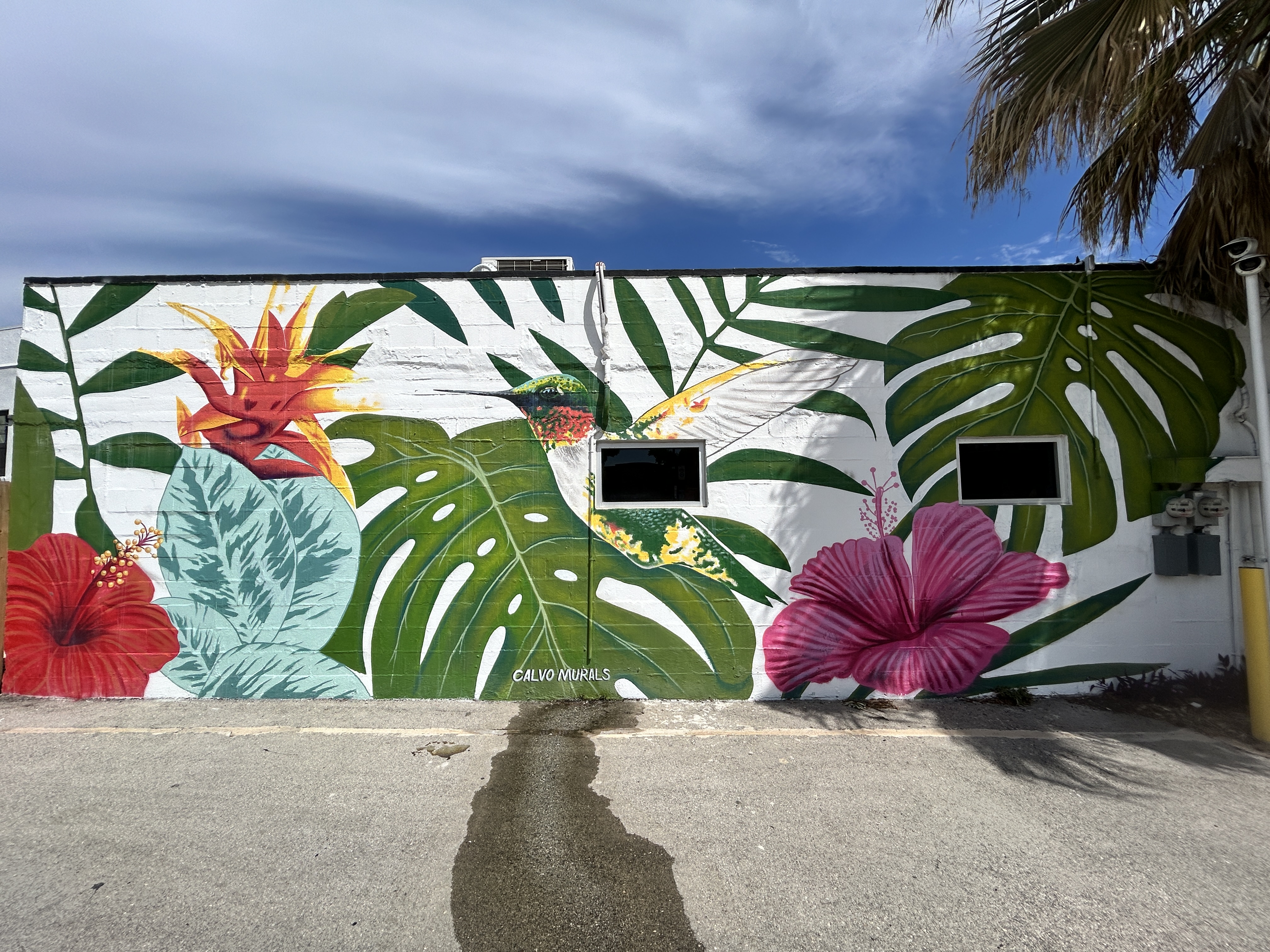 48 murals around San Antonio