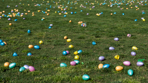 Easter eggs in a field of grass