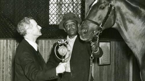 a man and a horse