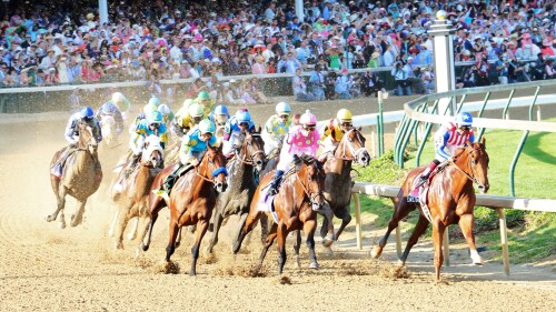 Racehorses and their jockeys race around the first turn of Churchill Downs at the Kentucky Derby.