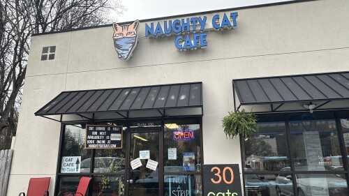 Storefront of Naughty Cat Cafe with a logo of a masked cat. Signs display "30 cats inside" and "Not a strip club," next to a neon "Open" sign.