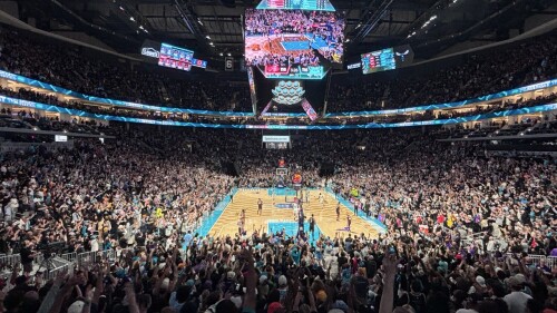 A crowded basketball arena with people cheering as a game is underway.