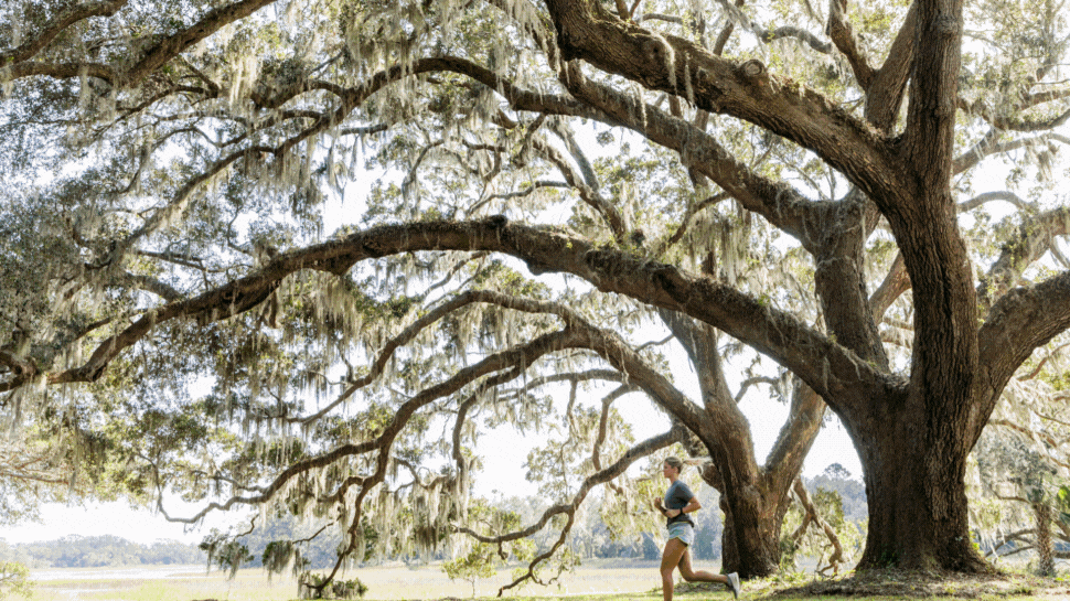 A GIF of the scenery and people enjoying fall at Kiawah River.