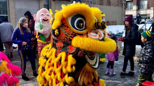 Yellow lion dance performance costume