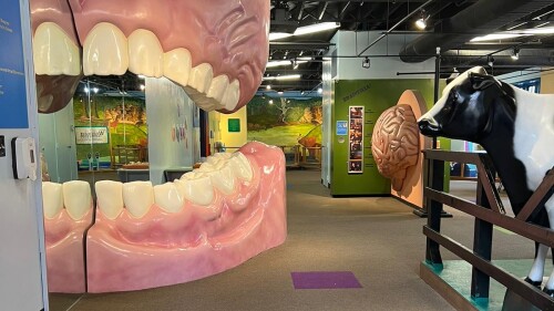 The Explorium's Healthy Me gallery with a massive model of a mouth.
