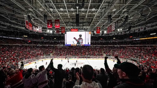 Carolina Hurricanes fans cheer at the Lenovo Center.