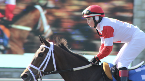 A jockey riding a horse. It appears they are riding fast because the background shows a blurry image, as the rider and horse are facing the left of screen.