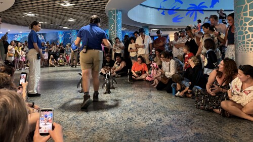 IMG_9928 (1).jpeg