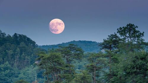 A full moon rising over the Natural Bridge State Resort Park.