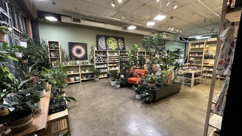Fibonacci Plants