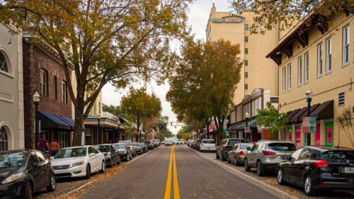 Cars line a street in downtown Lakeland, leaves are on the ground.