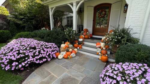 Professionally decorated front porch featuring pumpkins, flowers, and a fall wreath.