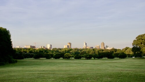 Flowers Filed in Dorothea Dix Park in June 2022. 