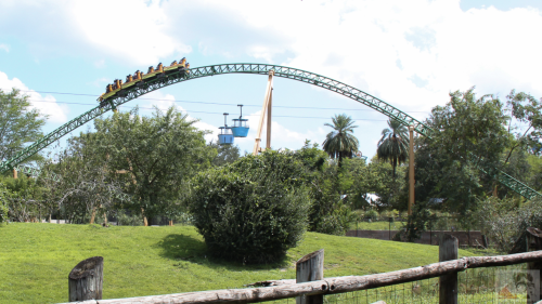 A roller coaster at Busch Gardens. There is a carriage on a windy track.
