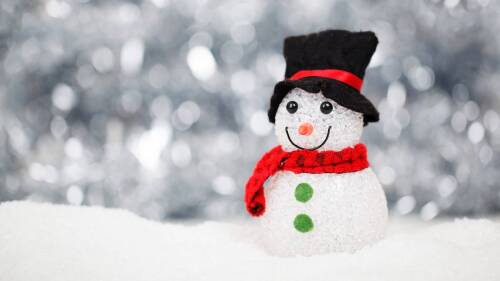 christmas-cute-macro-40541
