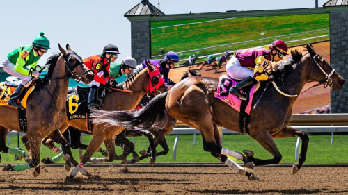 Jockeys + racehorses competing at Keeneland.