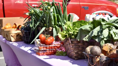 Fresh produce is displayed on a table during an outdoor farmers market.