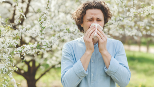 NOOGA_PhysiciansCare_Allergies_APR2026