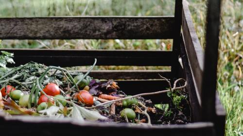A heap of tomatoes and vegetation in a dark brown wooden bin outside.