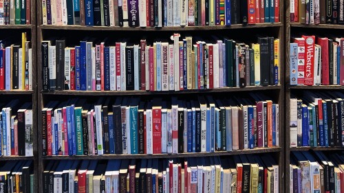 A ton of books on shelves.