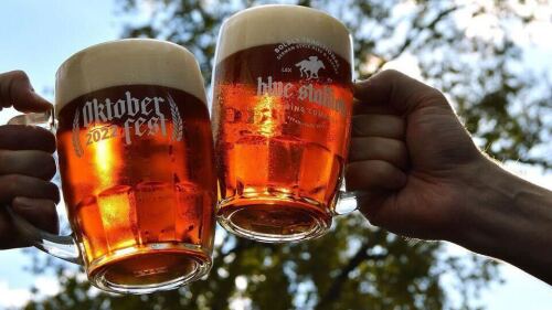 Two hands holding two steins filled with beer.