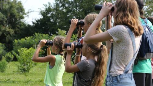 Four children of varying heights and ages look through binoculars, backdropped by greenery in Hisle Park