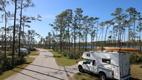 Several RVs parked in the trees surrounding a pond at Flamingo Camping Site in the Everglades National Park