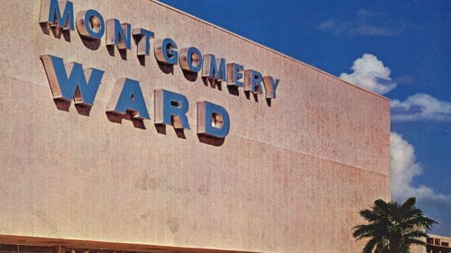 A large store with the words "Montgomery Ward" written across it on a bright, sunny day. Outside of the store are several bushes and a palm tree. Multiple clear windows show the inside of the store.
