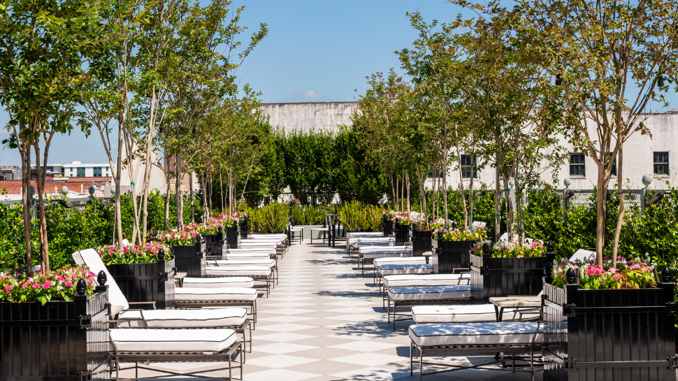 Sunlit rooftop garden with flowering trees, benches, and planters lining a patterned walkway between city buildings; calm and inviting.