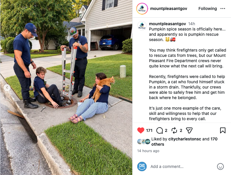 Firefighters assist cat in storm drain in a suburban neighborhood, highlighting a caring rescue.